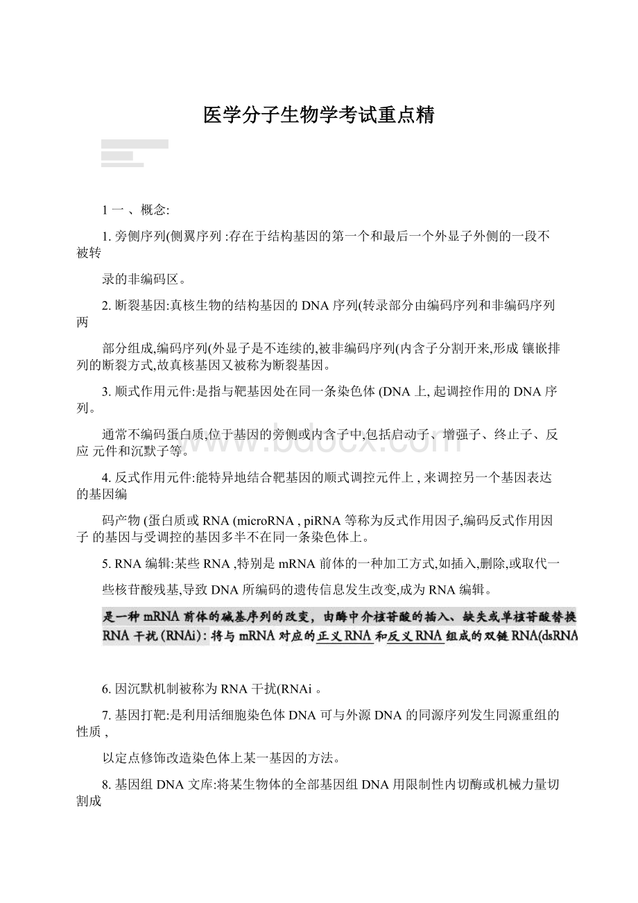 医学分子生物学考试重点精Word格式文档下载.docx_第1页