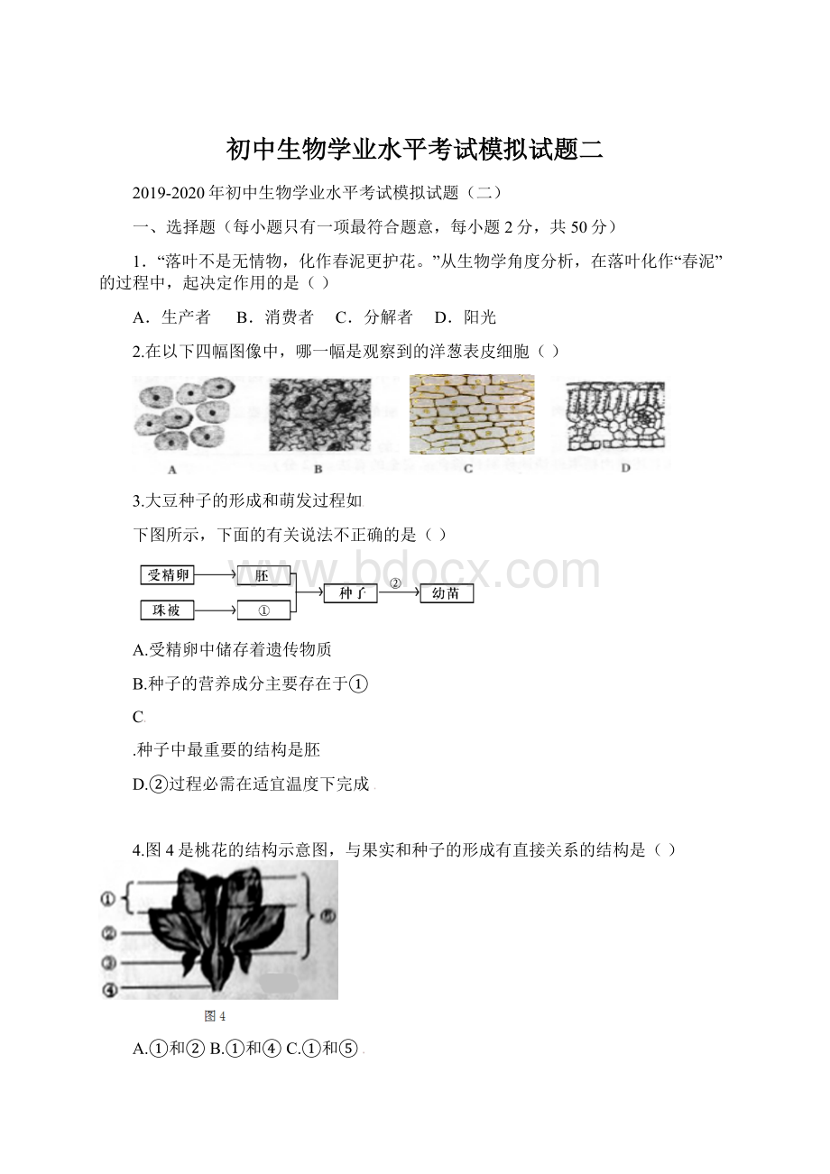 初中生物学业水平考试模拟试题二Word文件下载.docx