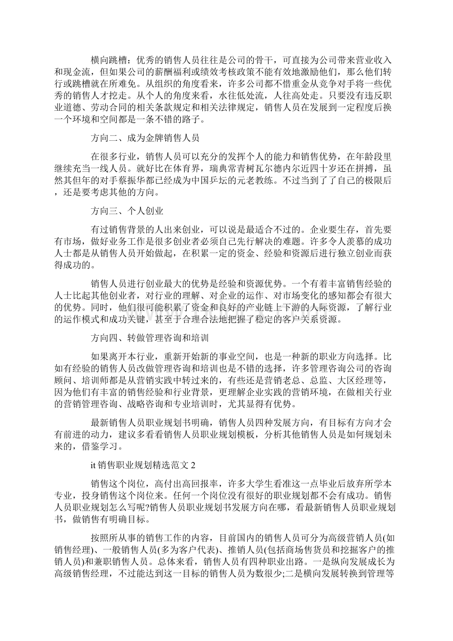 it销售职业规划精选范文Word文件下载.docx_第2页