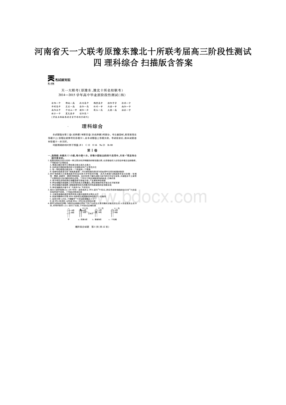 河南省天一大联考原豫东豫北十所联考届高三阶段性测试四 理科综合 扫描版含答案Word格式文档下载.docx_第1页