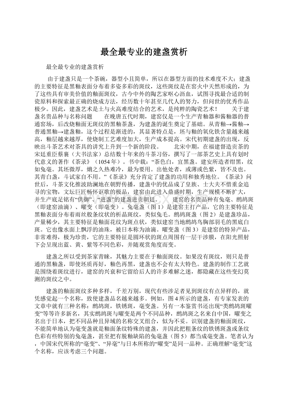 最全最专业的建盏赏析文档格式.docx