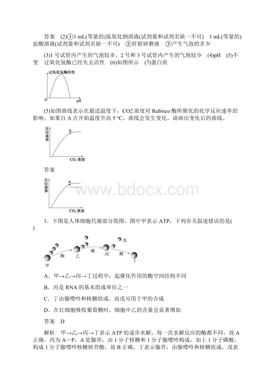 细胞代谢 Microsoft Word 文档 2.docx_第2页