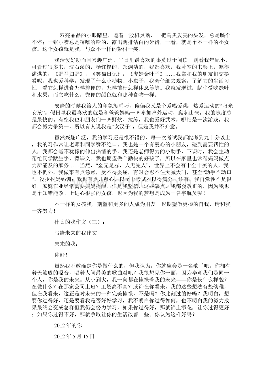 什么的我作文Word下载.docx_第2页