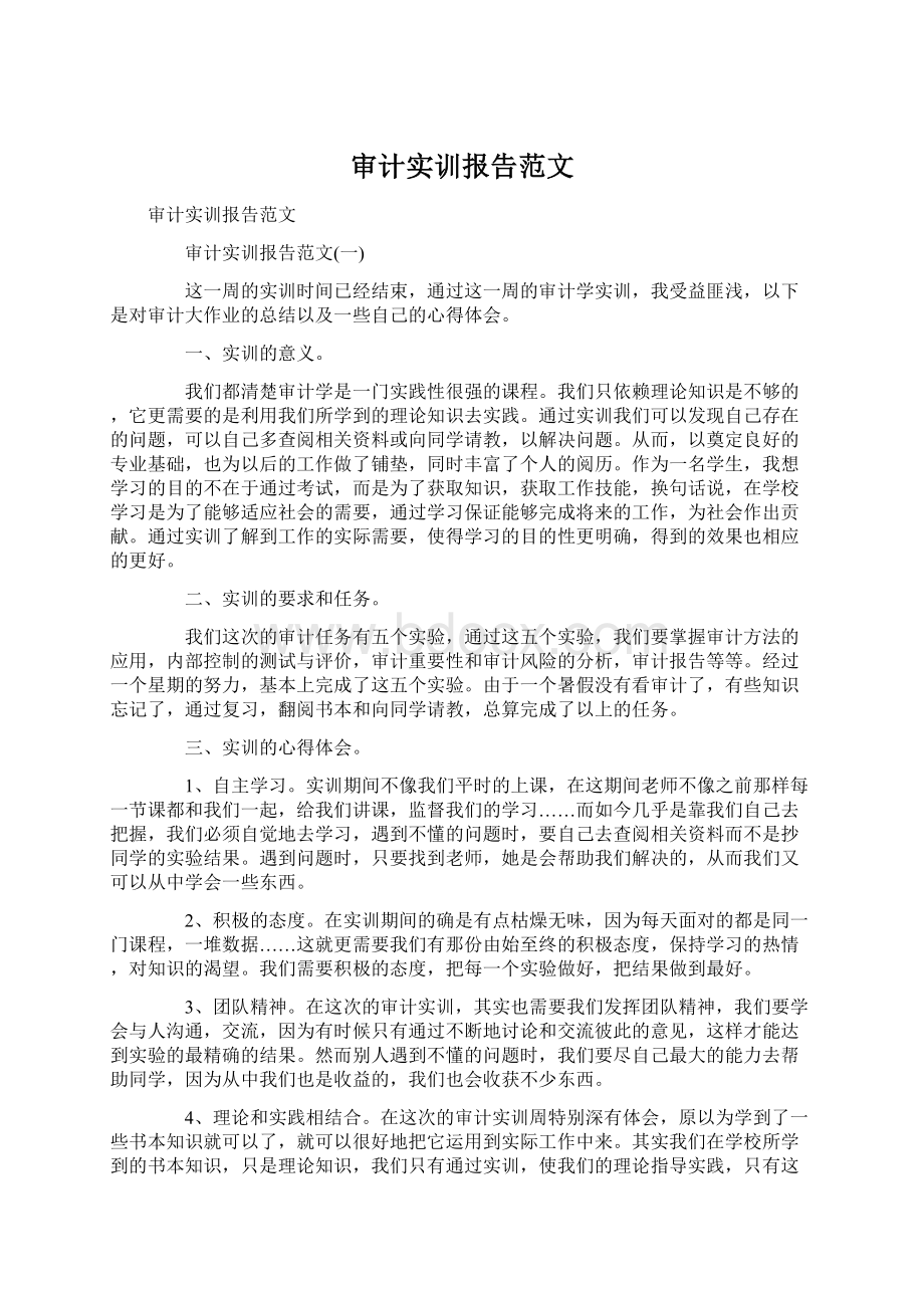 审计实训报告范文.docx_第1页