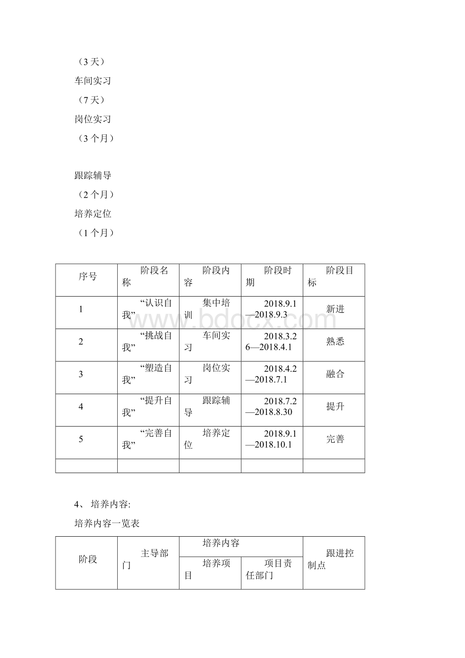 应届生培养实施方案领航计划Word下载.docx_第3页