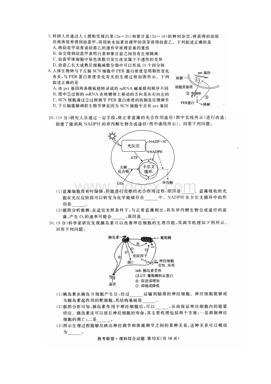 四川省广安眉山内江遂宁届高三第三次诊断性考试理综生物试题含答案.docx_第2页