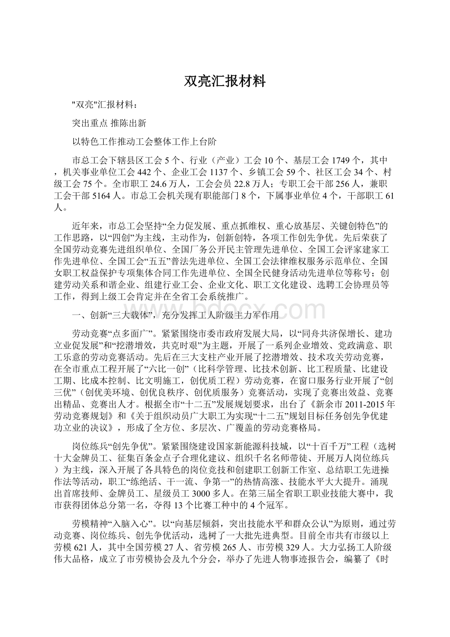 双亮汇报材料文档格式.docx