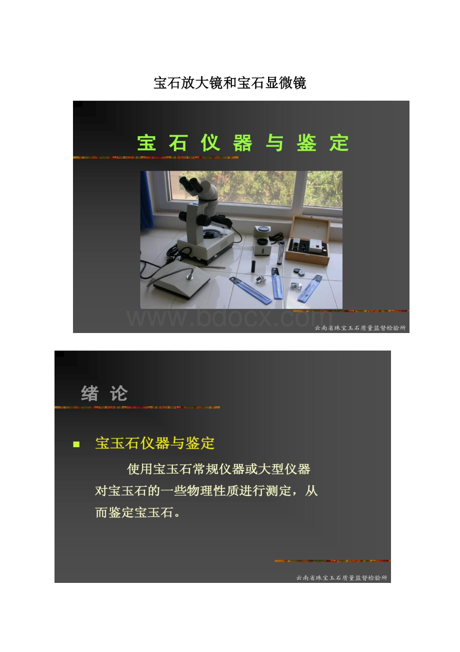 宝石放大镜和宝石显微镜Word文档格式.docx_第1页