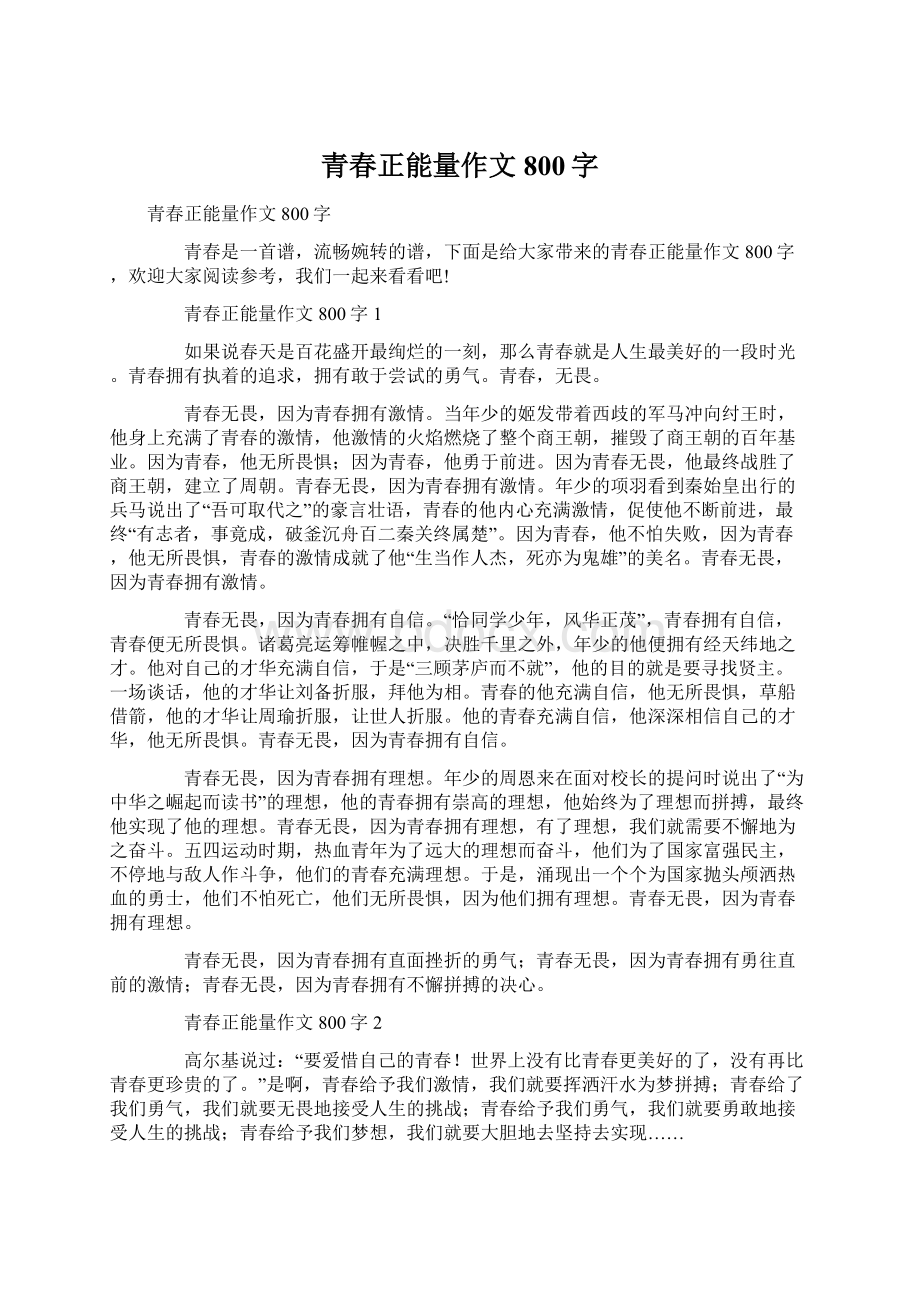 青春正能量作文800字Word格式文档下载.docx