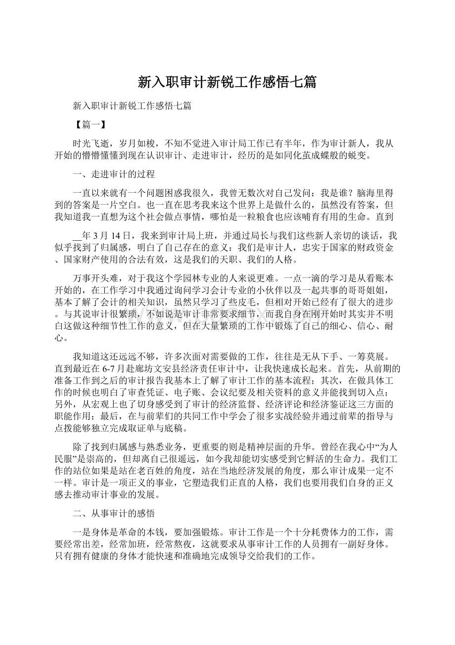 新入职审计新锐工作感悟七篇.docx