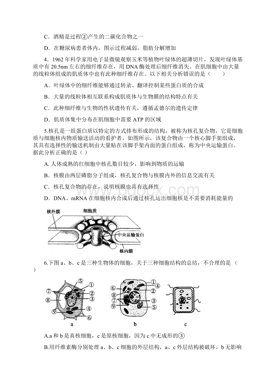 届高三生物月考试题.docx_第2页