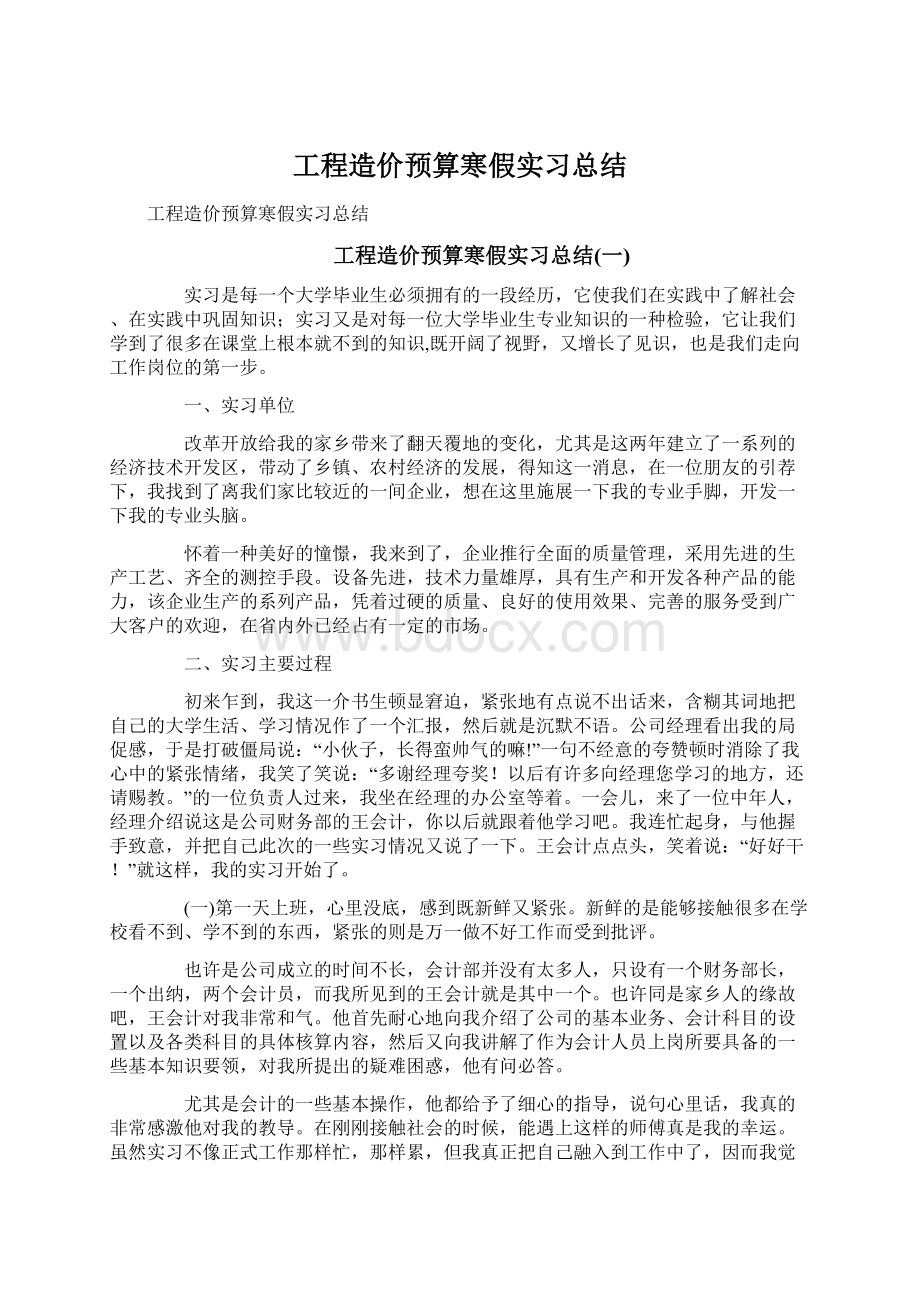 工程造价预算寒假实习总结Word格式文档下载.docx