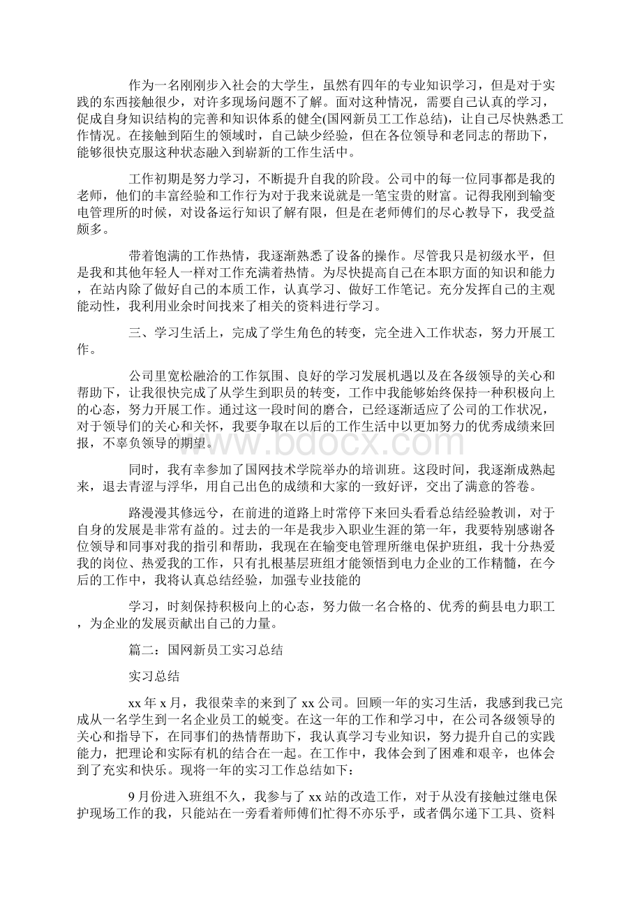 国网新员工工作总结.docx_第2页