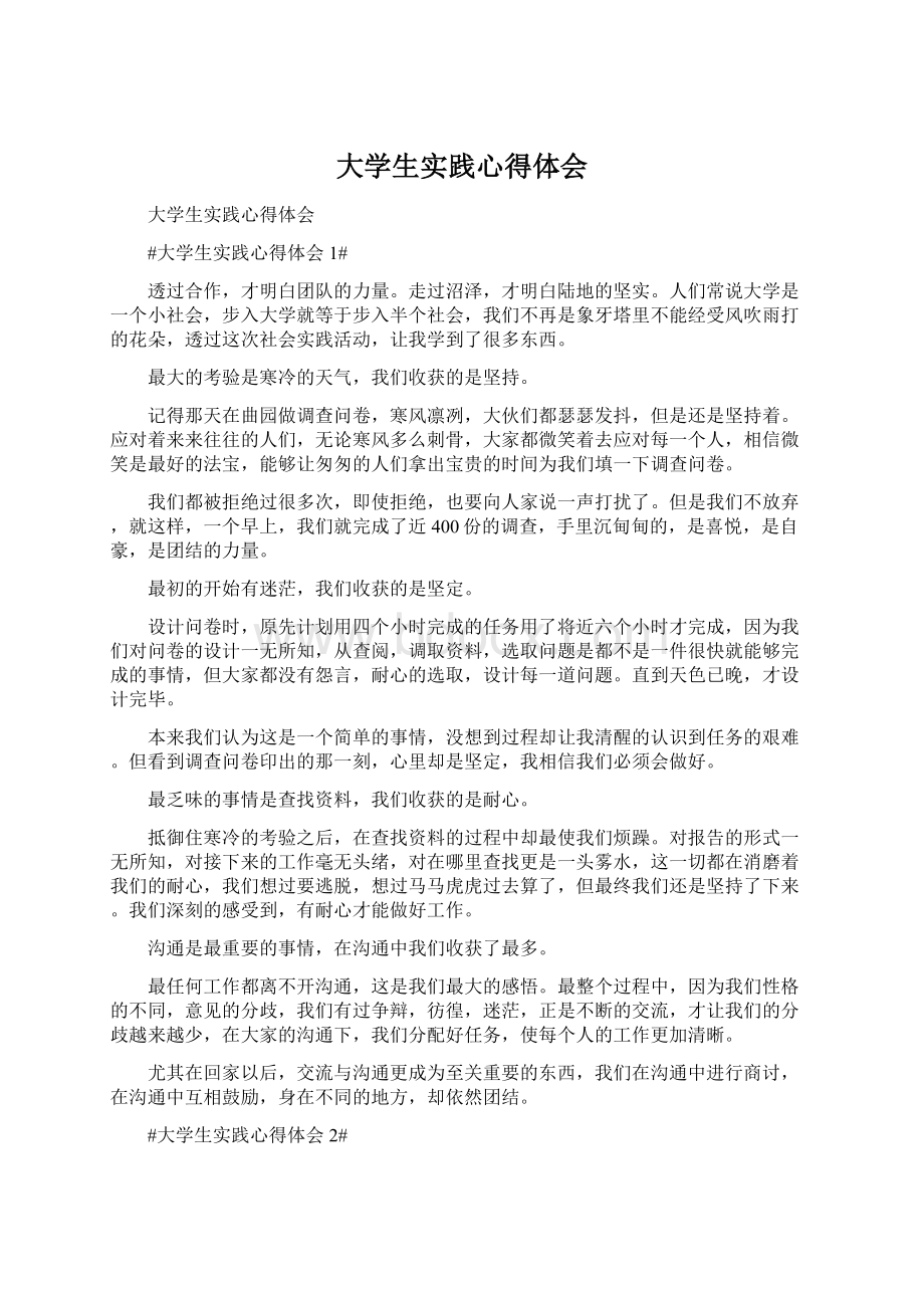 大学生实践心得体会文档格式.docx_第1页