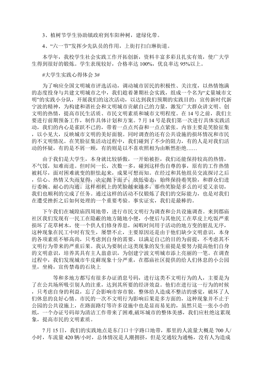 大学生实践心得体会文档格式.docx_第3页