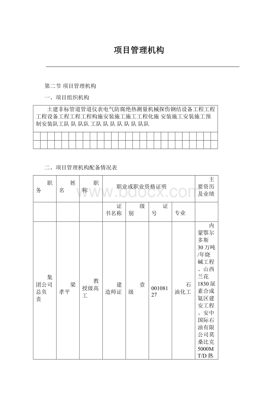 项目管理机构Word文件下载.docx_第1页