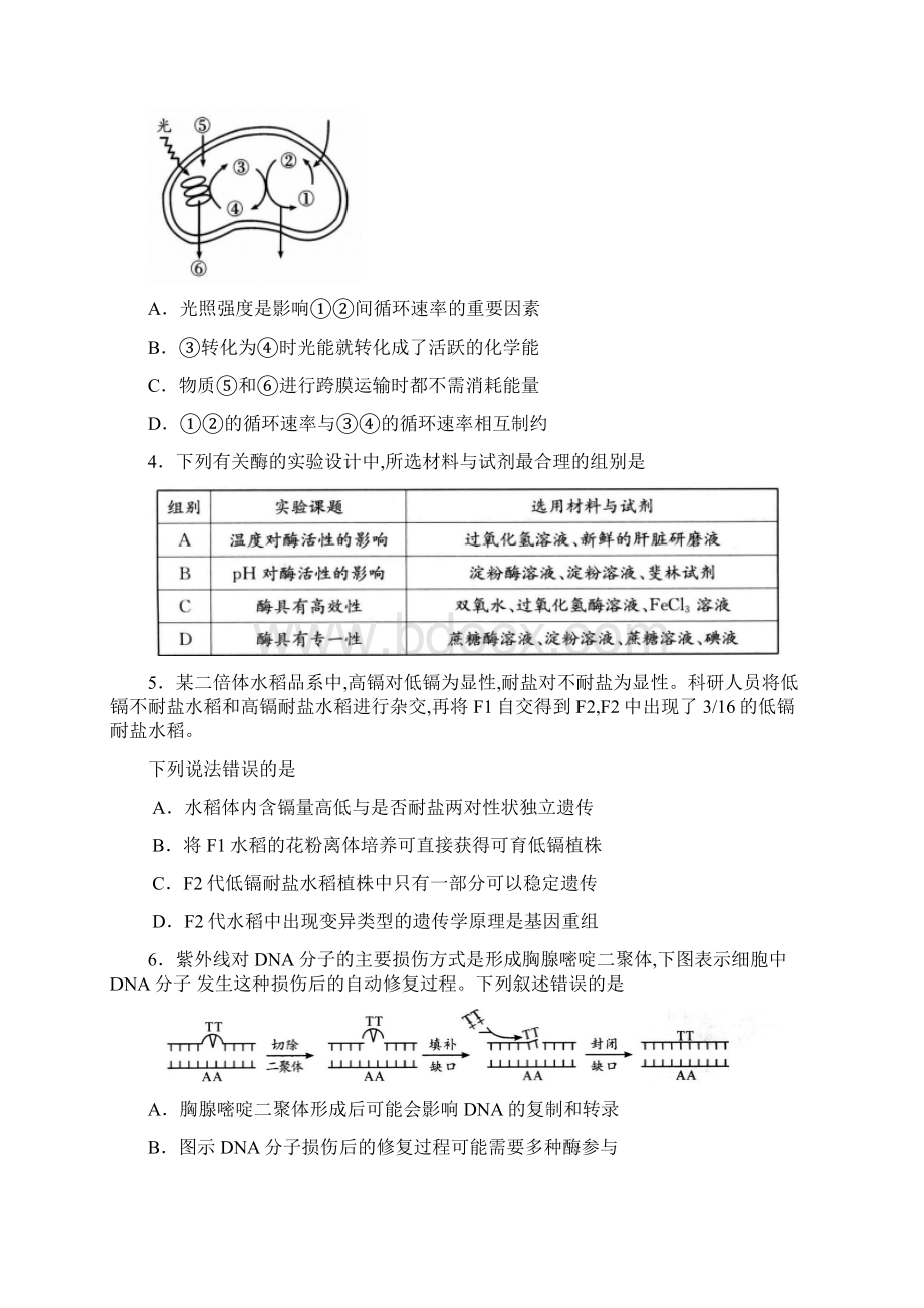 届四川省成都市高三第三次诊断性考试理科综合试题及答案Word文档格式.docx_第2页