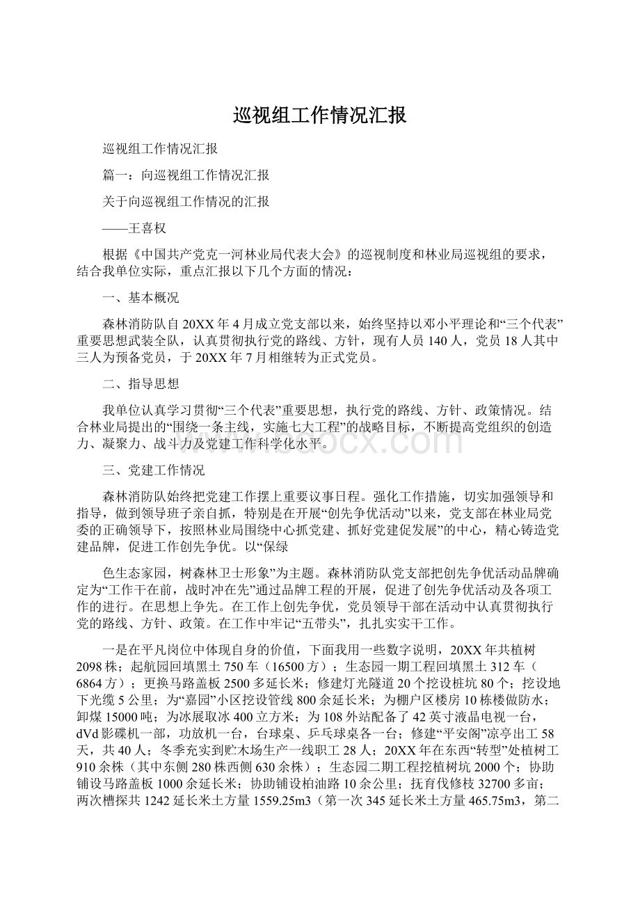 巡视组工作情况汇报Word文件下载.docx