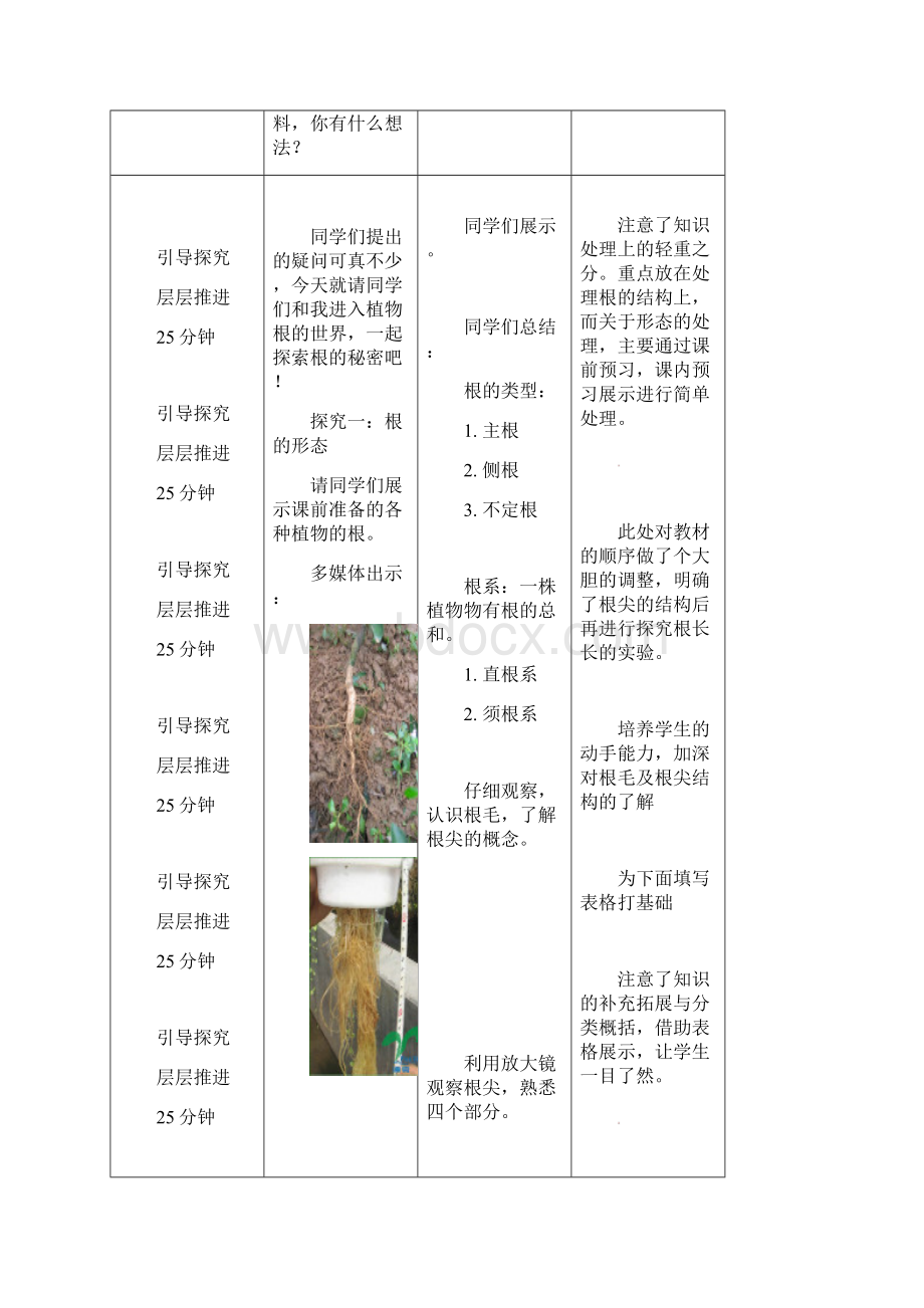 新人教版七年级生物上册种子的萌发教案文档格式.docx_第3页