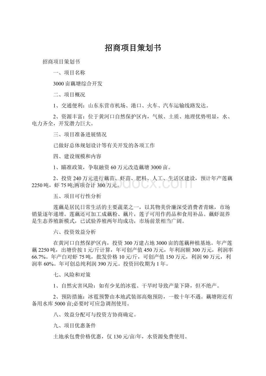 招商项目策划书Word格式.docx