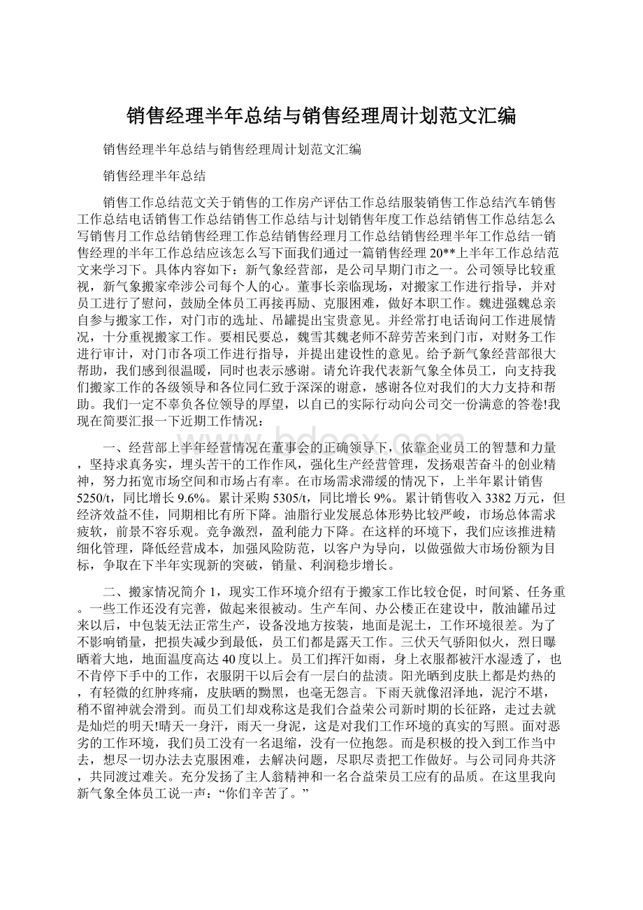 销售经理半年总结与销售经理周计划范文汇编.docx_第1页