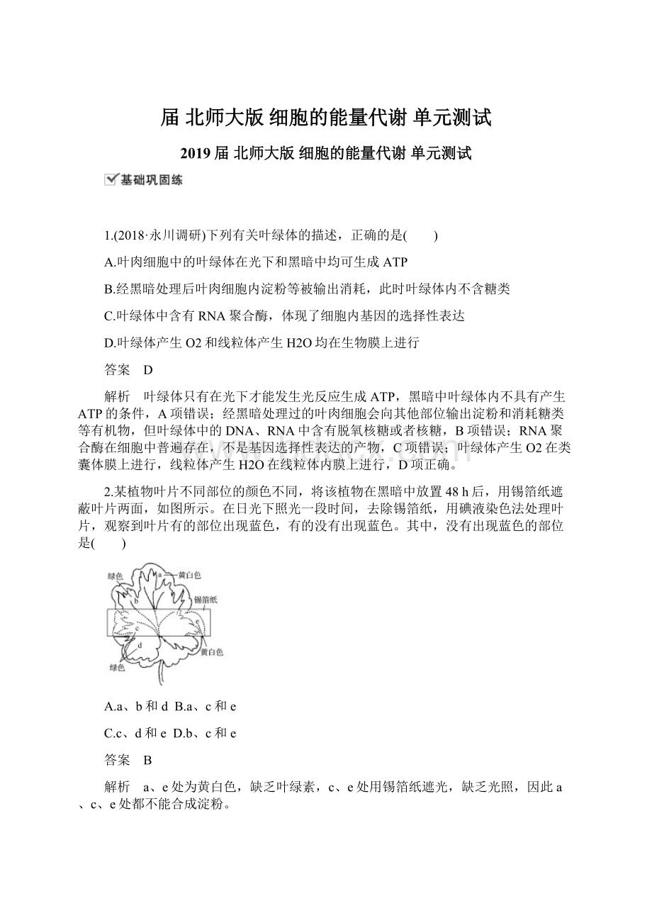 届北师大版 细胞的能量代谢单元测试.docx_第1页