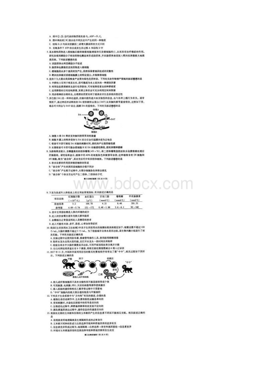 江苏省无锡市届高三上学期期中调研考试生物试题及答案.docx_第2页