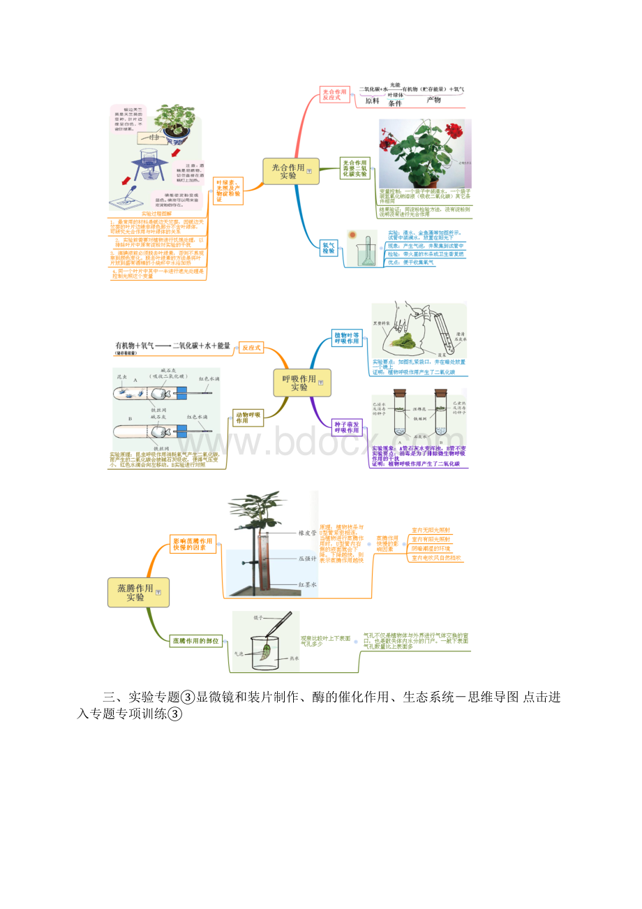 思维导图 浙江省中考科学实验专题复习热点实验思维导图Word格式文档下载.docx_第3页