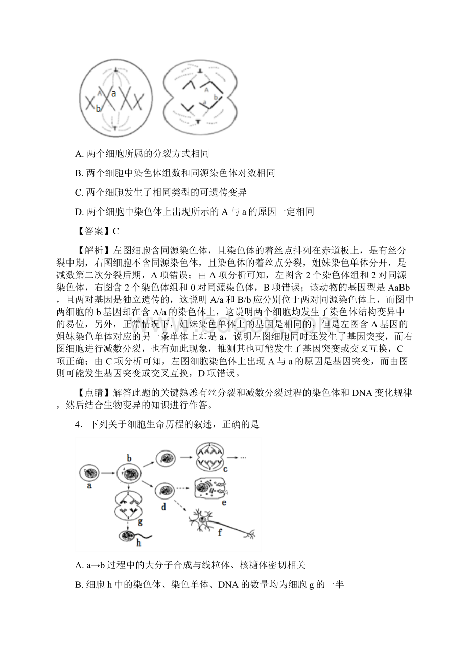 届 人教版 细胞的生命历程 单元测试 1Word格式文档下载.docx_第2页