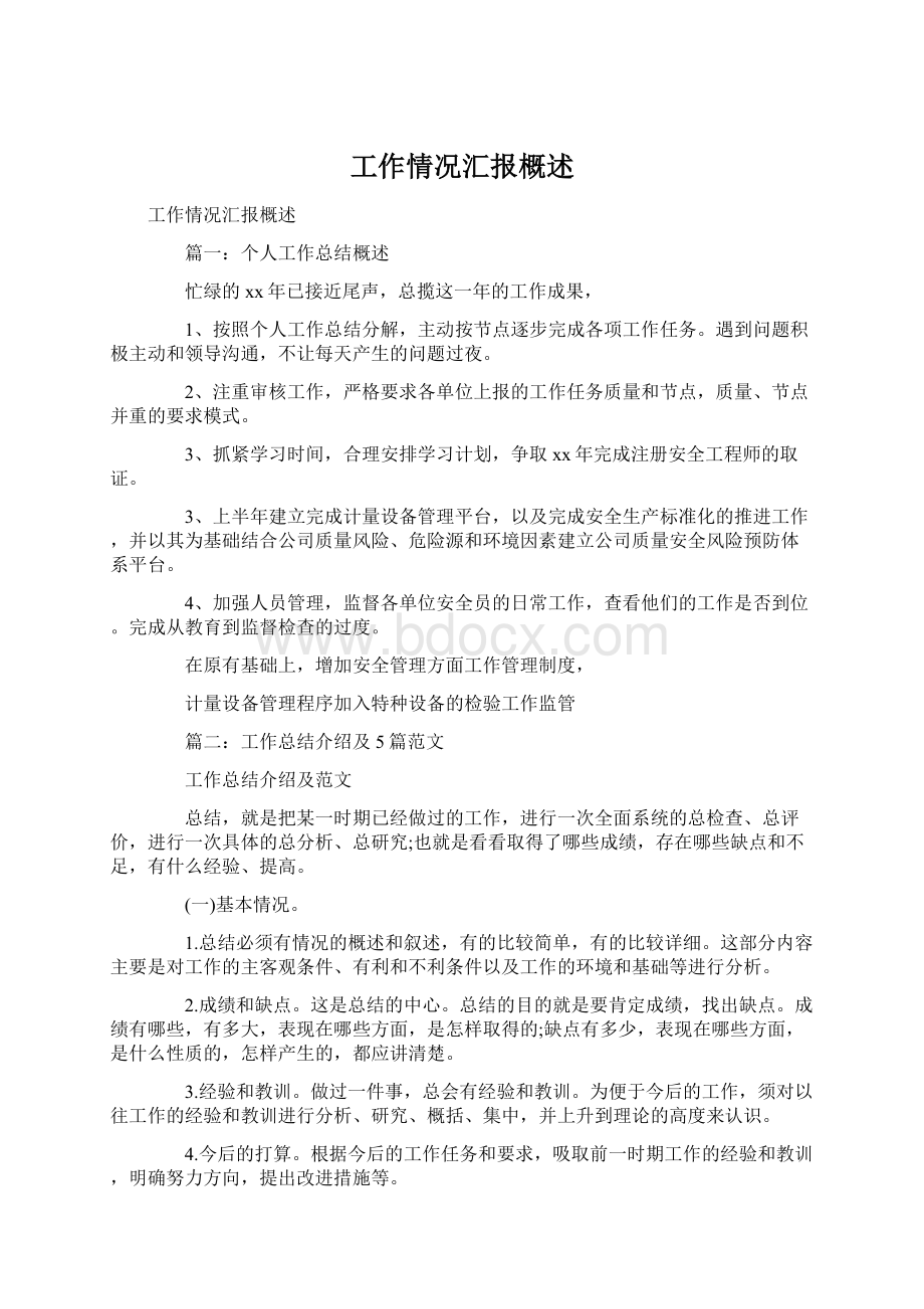 工作情况汇报概述文档格式.docx