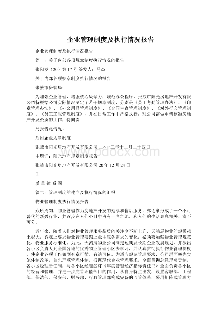 企业管理制度及执行情况报告Word格式.docx