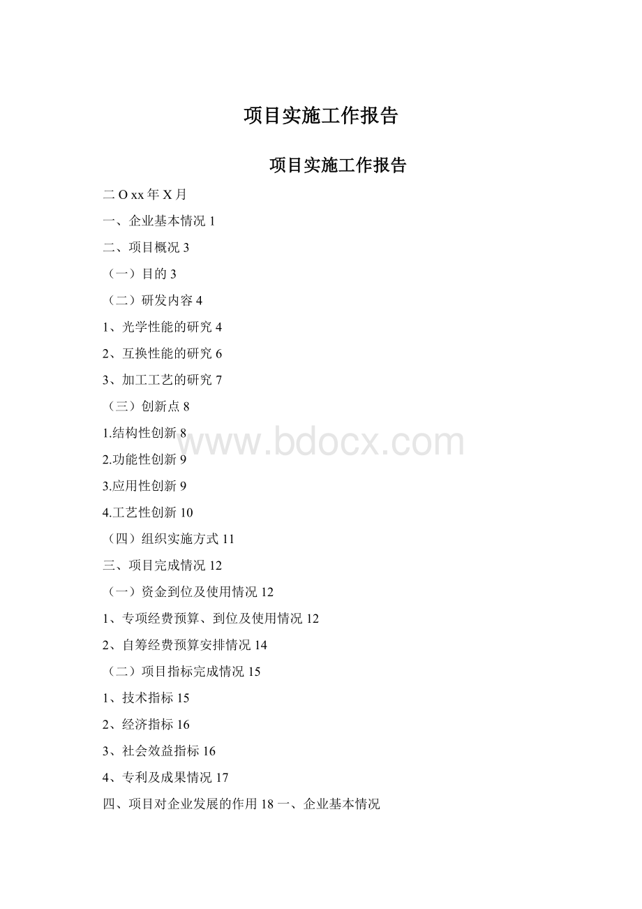 项目实施工作报告Word下载.docx_第1页