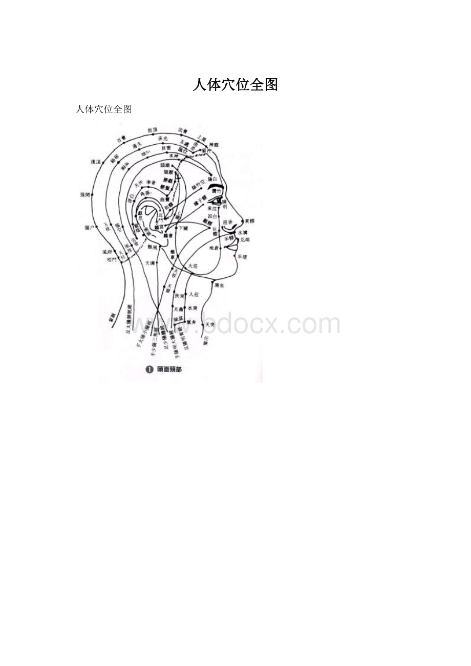 人体穴位全图.docx