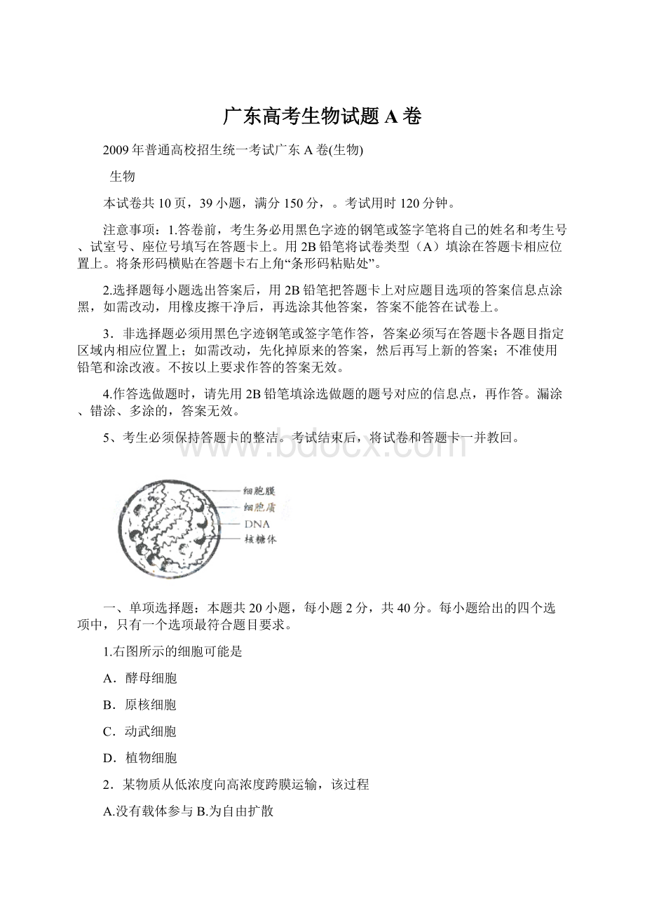 广东高考生物试题A卷Word文档格式.docx