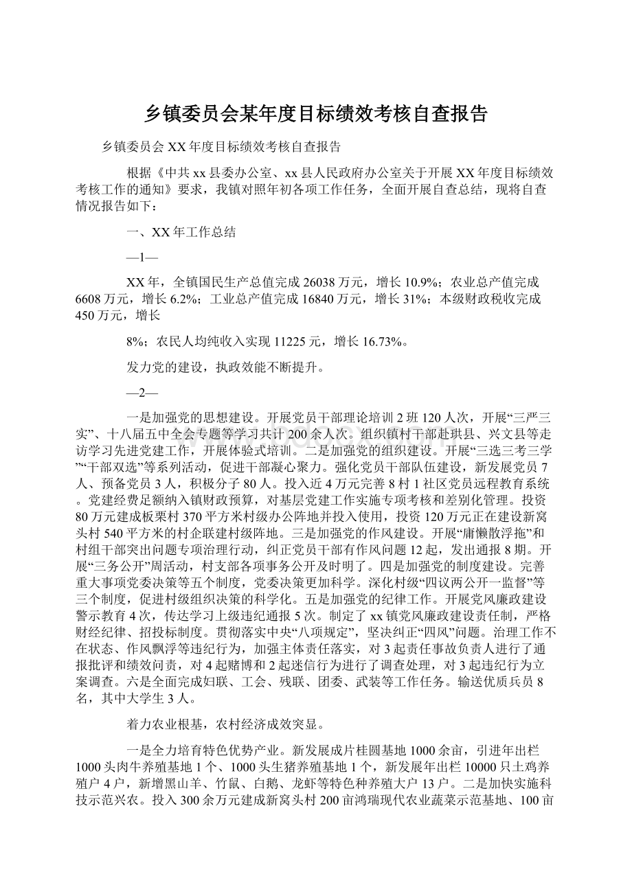 乡镇委员会某年度目标绩效考核自查报告.docx