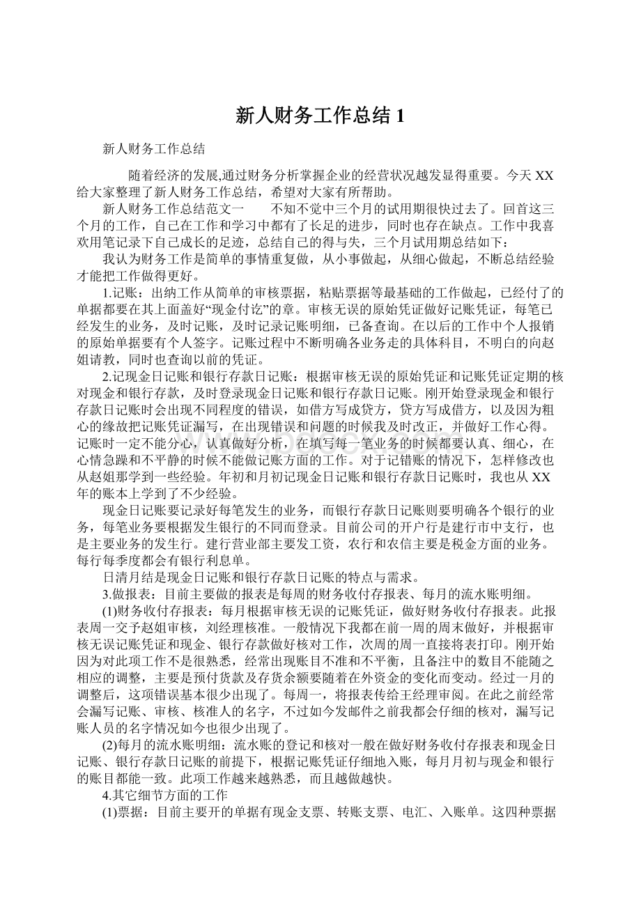 新人财务工作总结1Word格式文档下载.docx