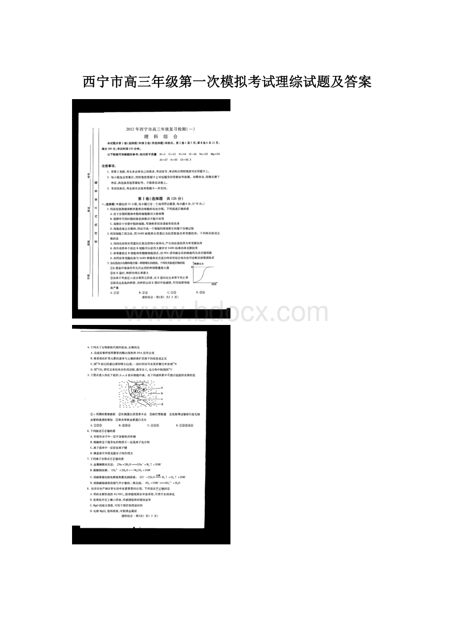 西宁市高三年级第一次模拟考试理综试题及答案.docx