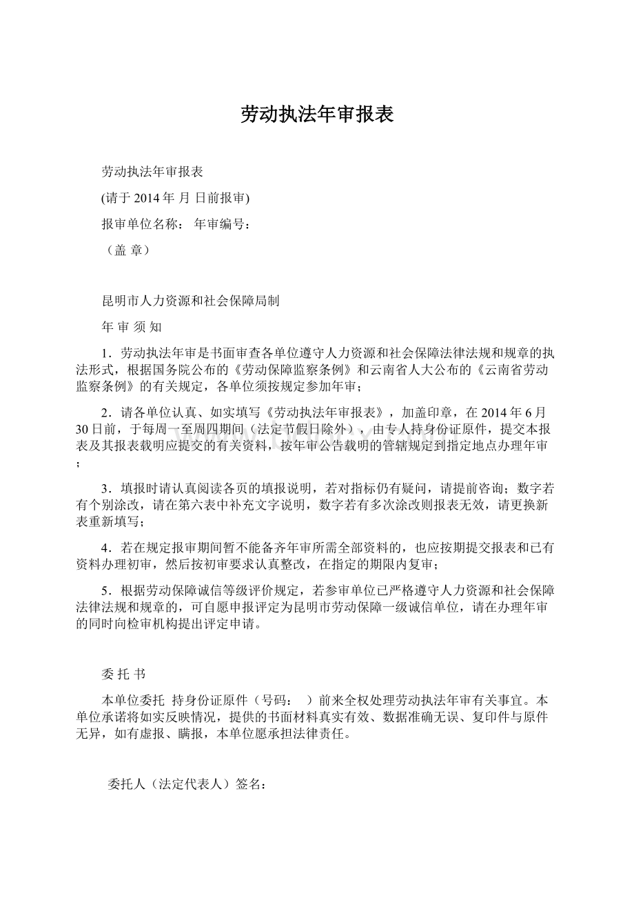 劳动执法年审报表.docx_第1页