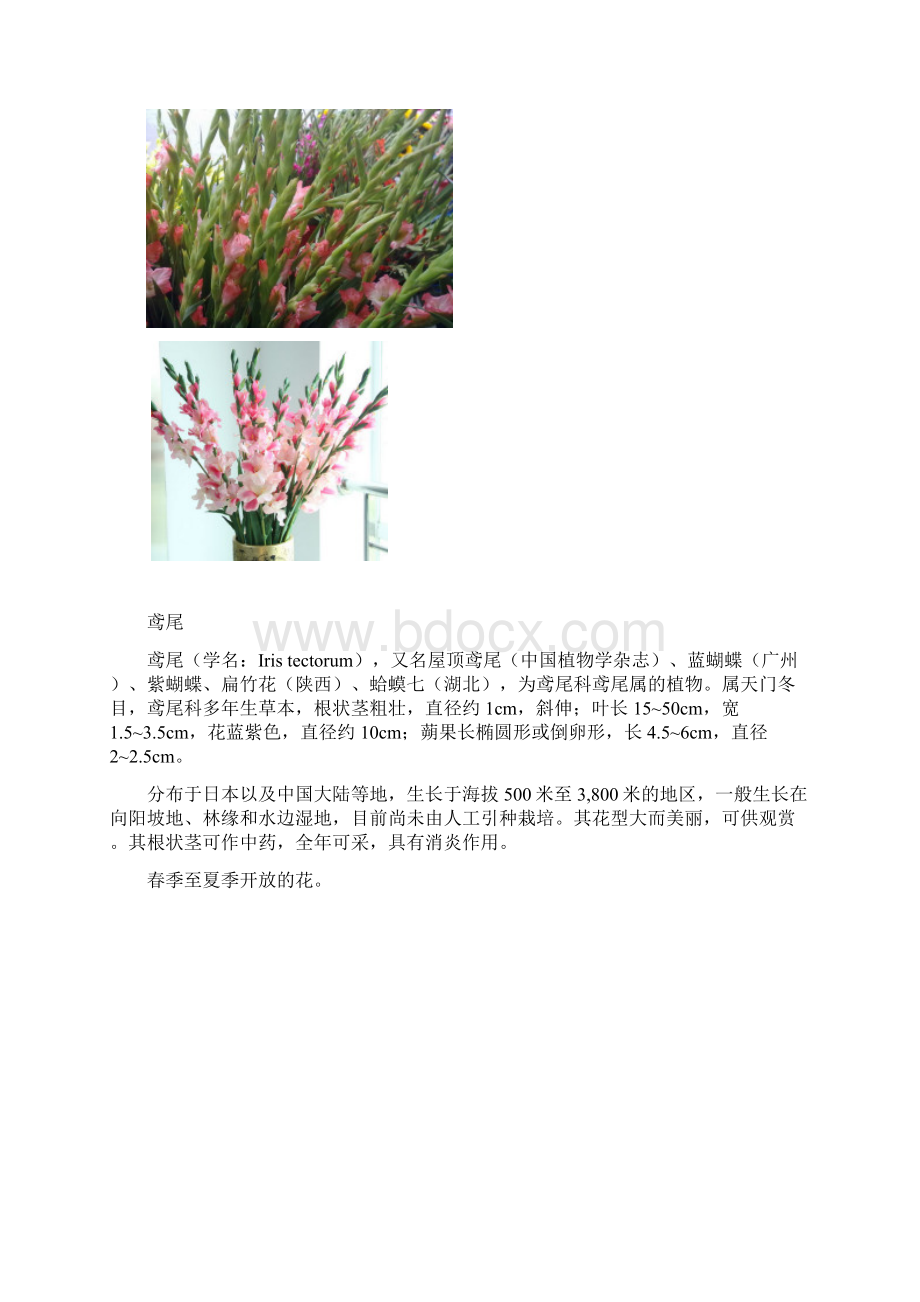 花草集.docx_第2页