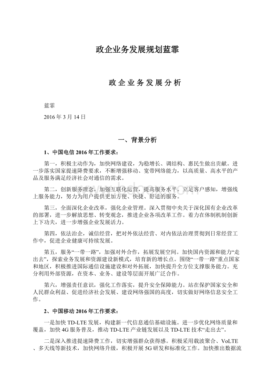 政企业务发展规划蓝霏Word格式文档下载.docx