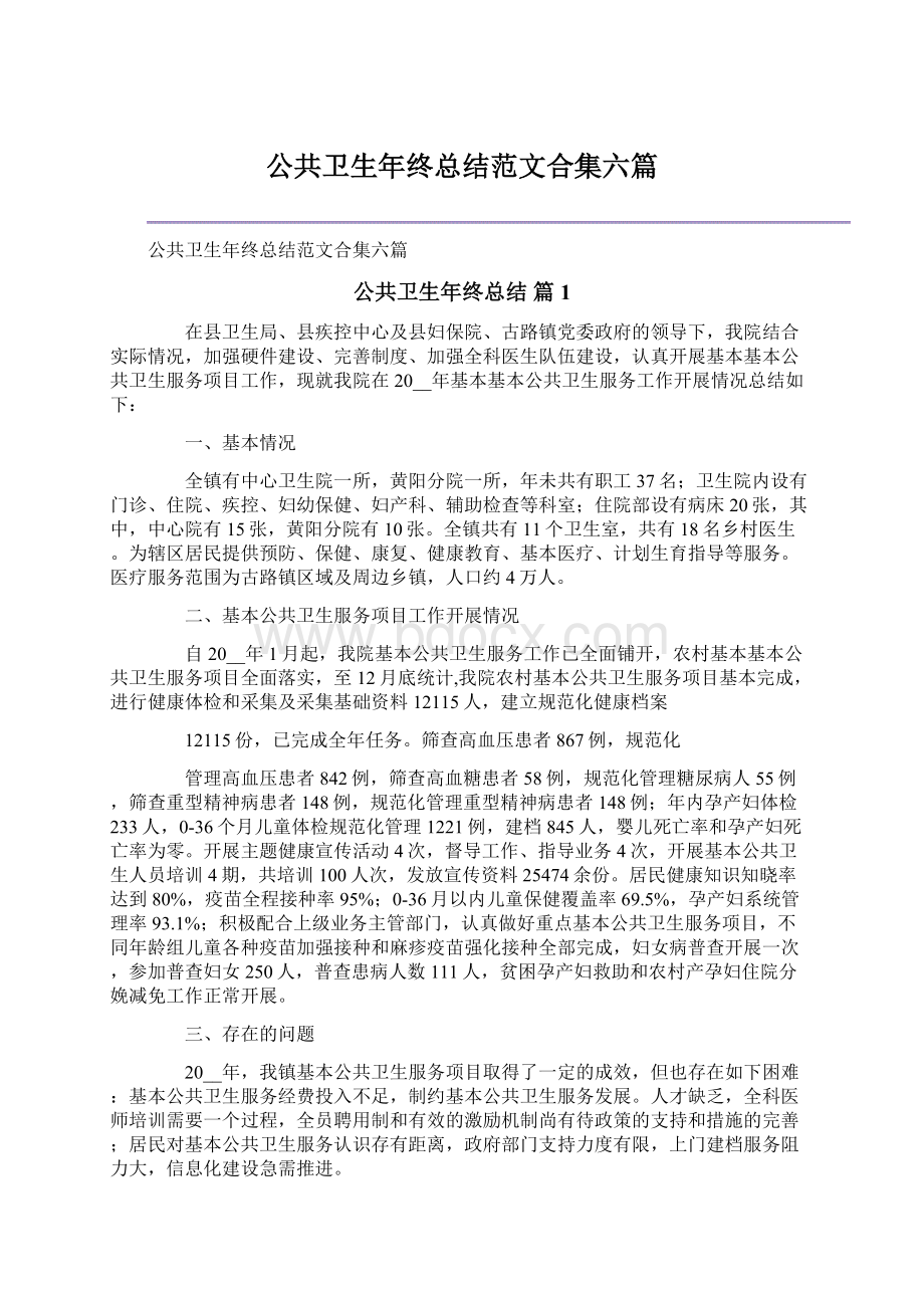 公共卫生年终总结范文合集六篇.docx