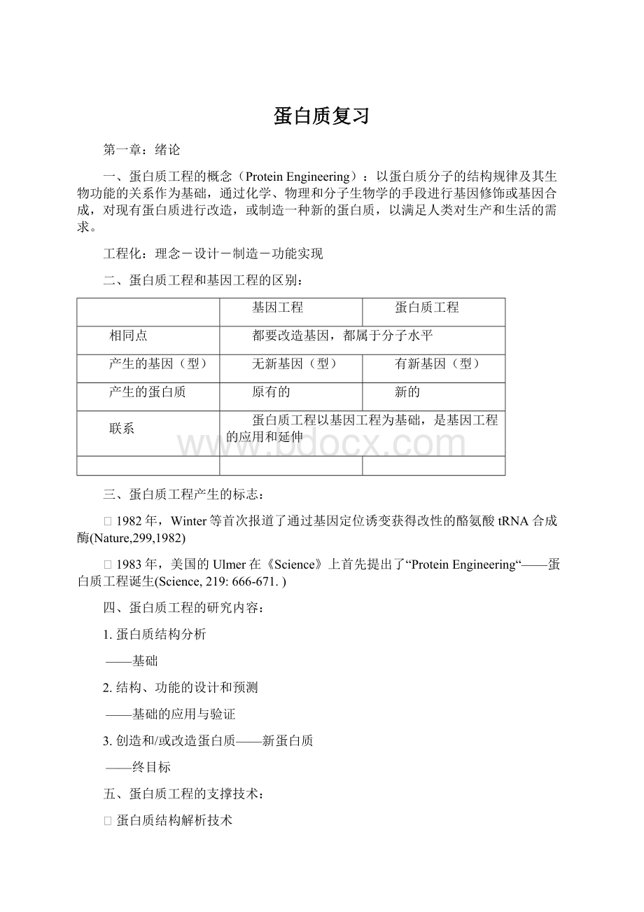 蛋白质复习文档格式.docx_第1页