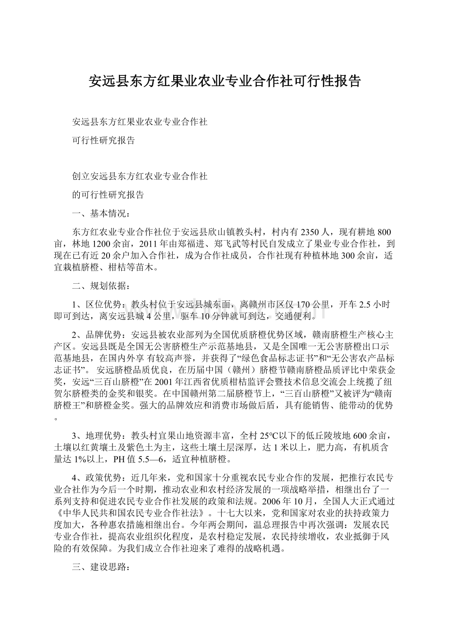 安远县东方红果业农业专业合作社可行性报告文档格式.docx