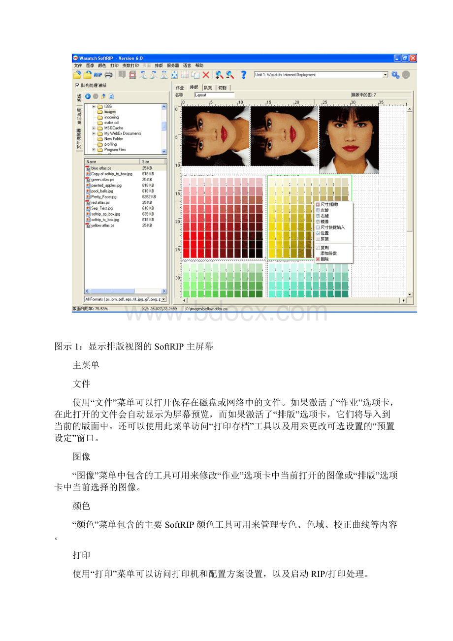 Wasatch SoftRIP使用手册.docx_第2页