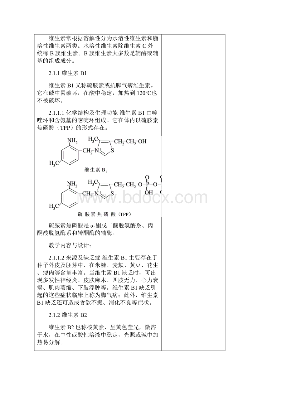 第2章酶与维生素.docx_第3页