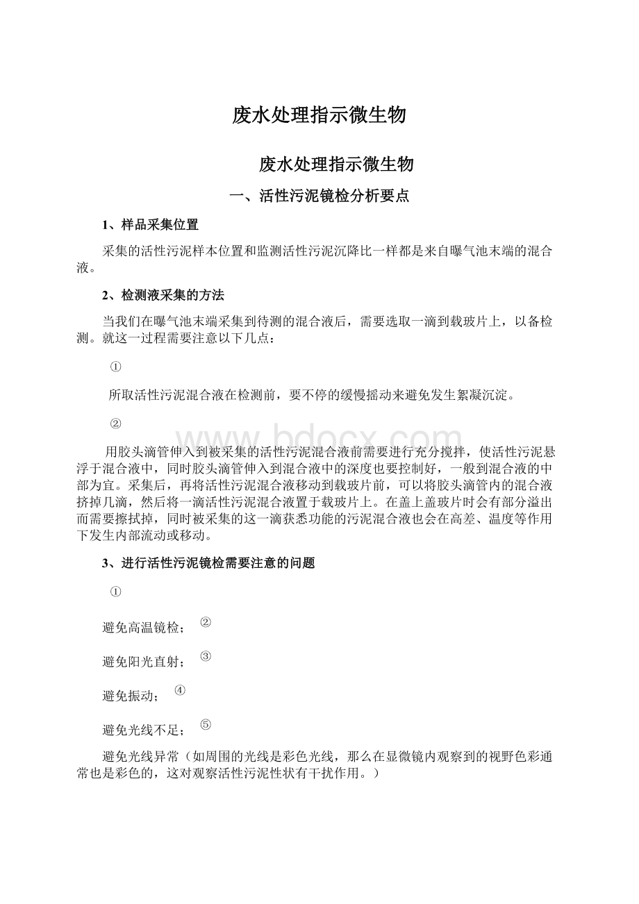 废水处理指示微生物文档格式.docx