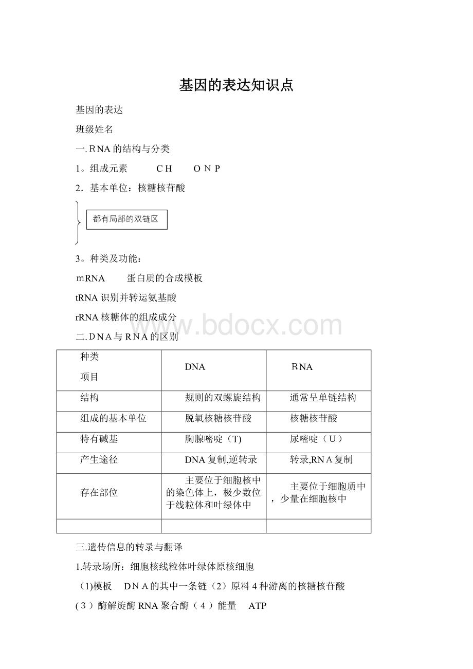 基因的表达知识点.docx