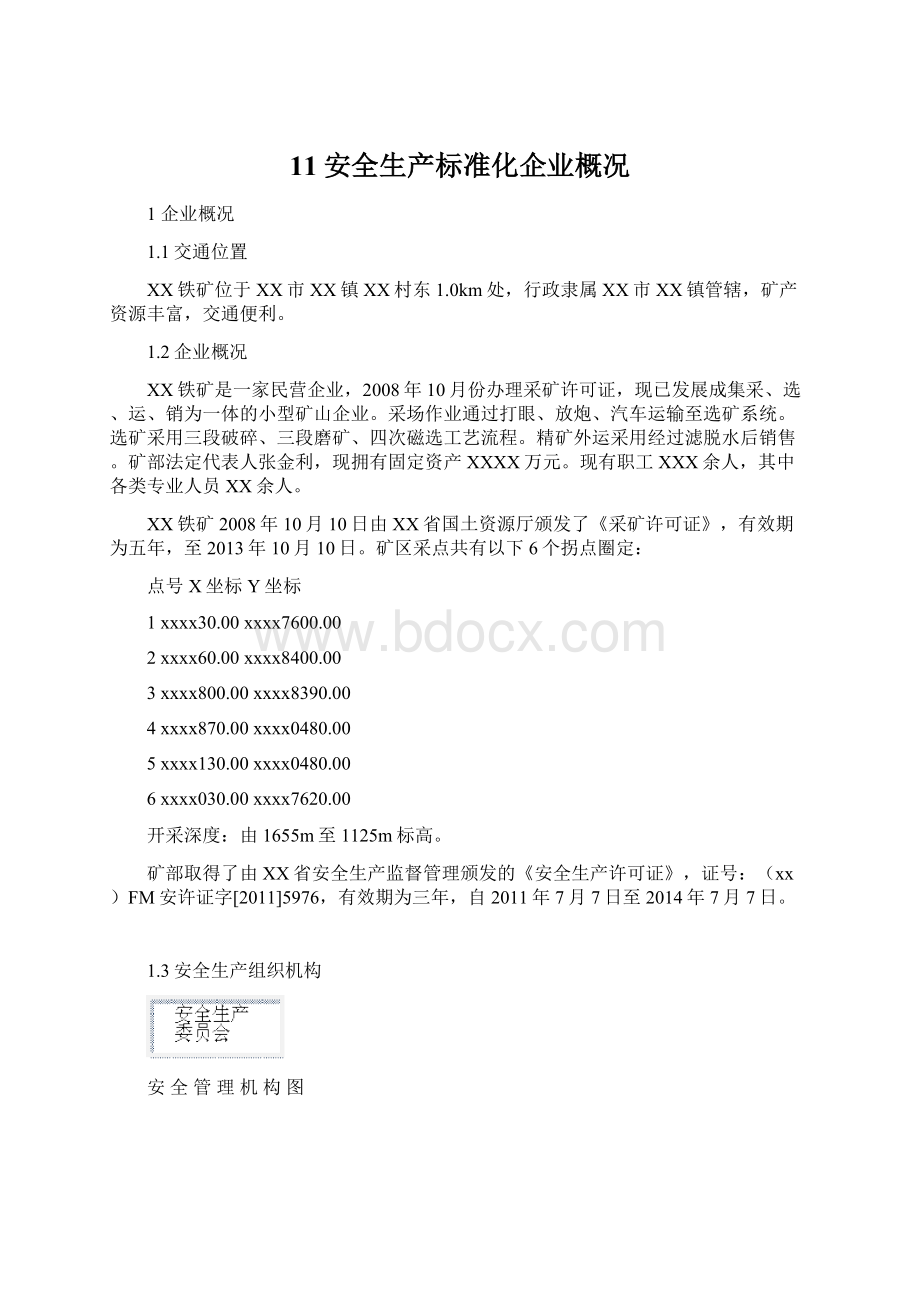 11安全生产标准化企业概况.docx