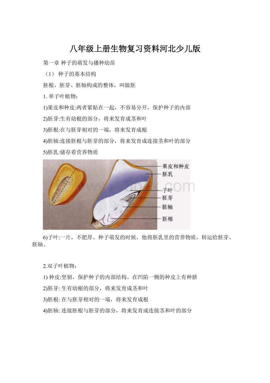 八年级上册生物复习资料河北少儿版Word格式.docx_第1页