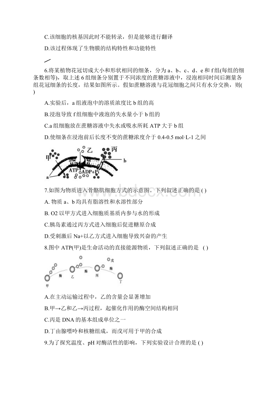 湖南益阳箴言中学届高三上学期模拟考试生物试题含答案.docx_第3页